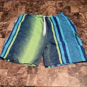 Men's Blue and Green Swim Shorts